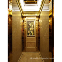 Ascenseur de passagers luxueux avec certificat GOST